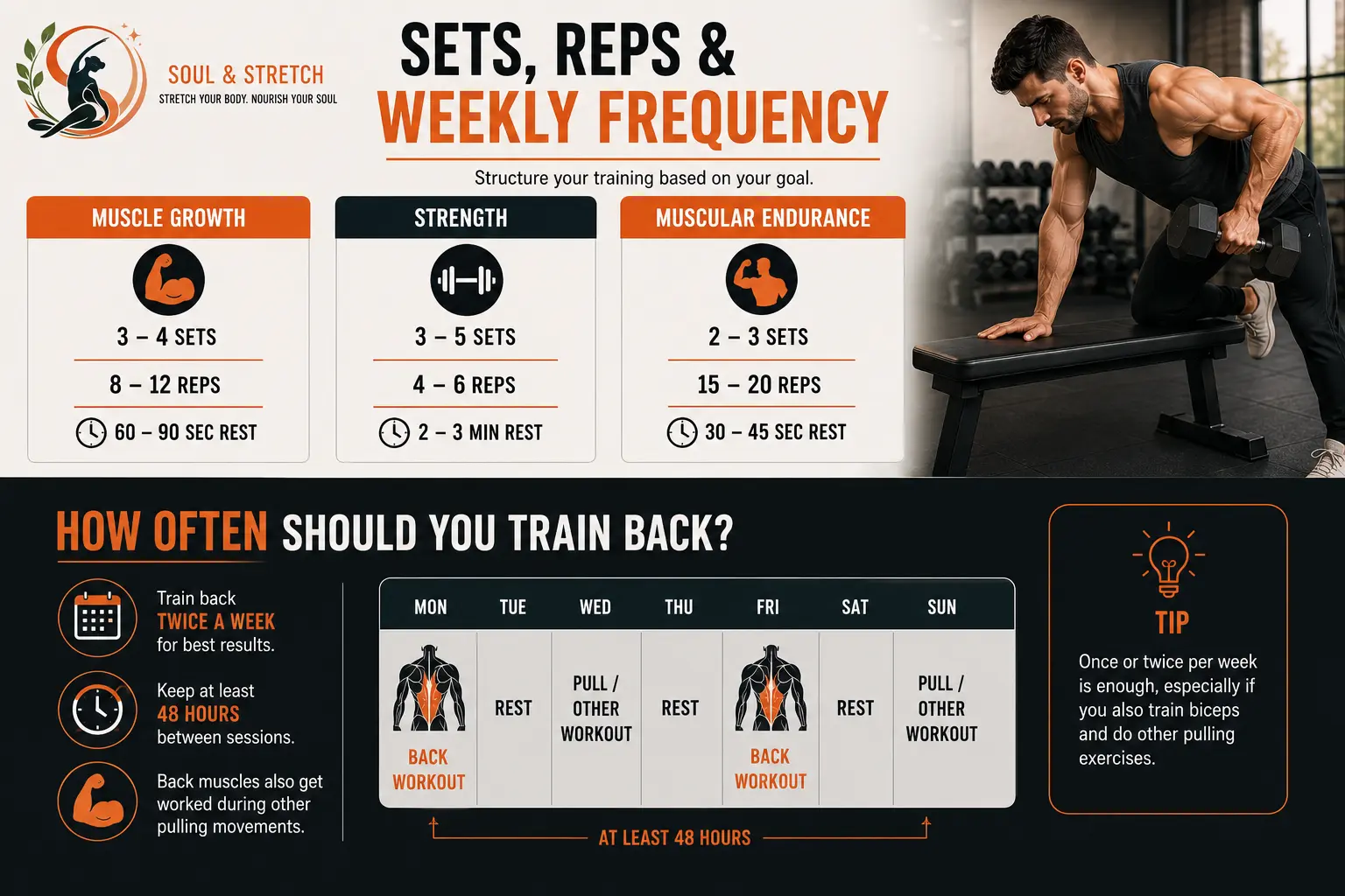 Dumbbell back training guide showing sets, reps, rest periods, and twice-weekly back workout frequency for muscle growth, strength, and endurance.